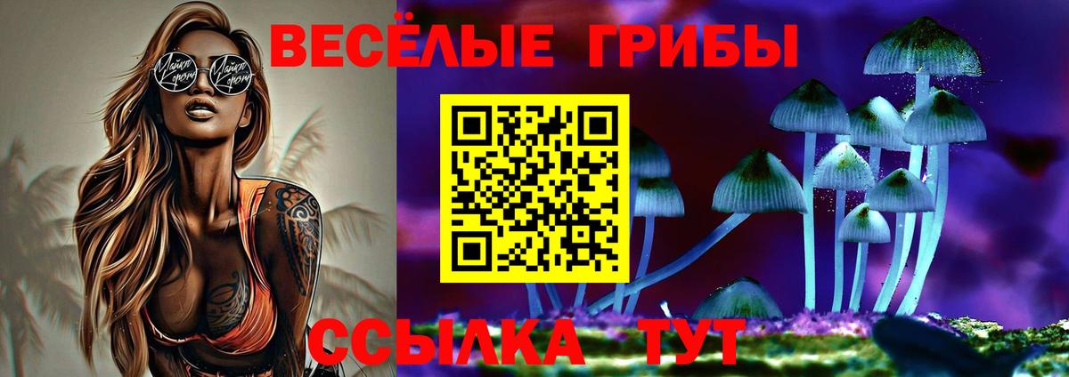 Псилоцибиновые грибы GOLDEN TEACHER  Вход с VPN  Лысьва  Галлюциногенные грибы Psilocybine cubensis 